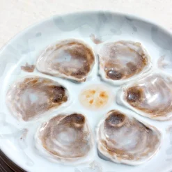 5 assiettes à coquillages peintes à la main