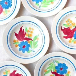 6 assiettes creuses au décor éclatant