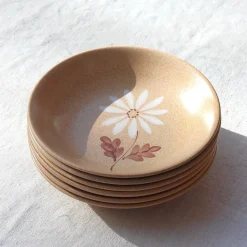 6 assiettes en grès fleuries