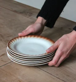 6 assiettes en porcelaine vintage