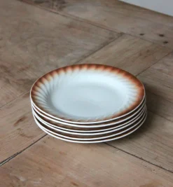 6 assiettes en porcelaine vintage