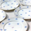 9 assiettes plates de Limoges petites fleurs rose et bleu
