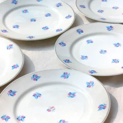 9 assiettes plates de Limoges petites fleurs rose et bleu