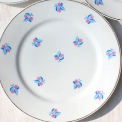 9 assiettes plates de Limoges petites fleurs rose et bleu