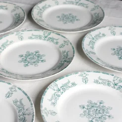 9 assiettes plates en terre de fer