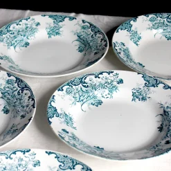 5 grandes assiettes creuses en terre de fer