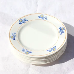 Assiettes anciennes décorées de fleurs bleues