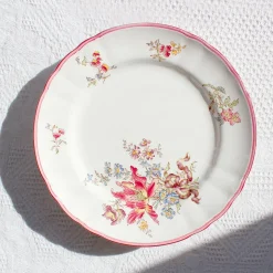 Assiettes plates en terre de fer