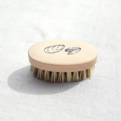 Brosse à coquillages