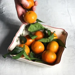 Grand ramequin rectangulaire au phoenix