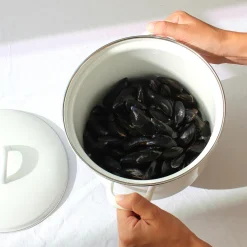 Marmite faitout en acier émaillé